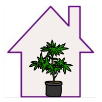 Wietzaden Voor Binnenkweek