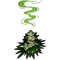 Wietsoorten Met Een Zwakke Geur