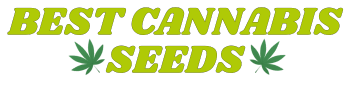 BestCannabisSeeds.nl